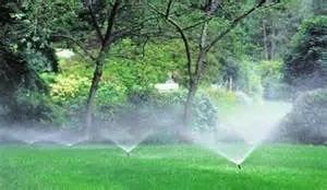 Reliable yard cleanup service in Houston, TX by 3rd Coast Irrigation