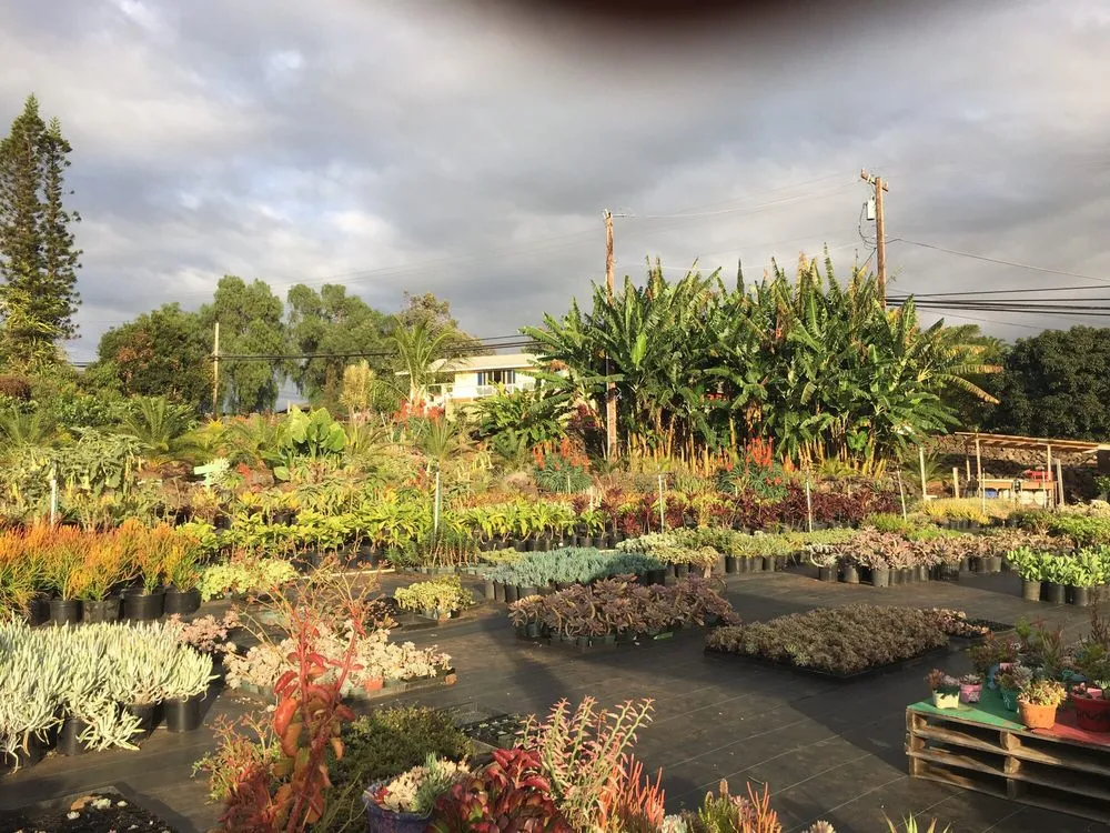 Affordable lawn care service in Kula, HI - 3rd Day Nursery