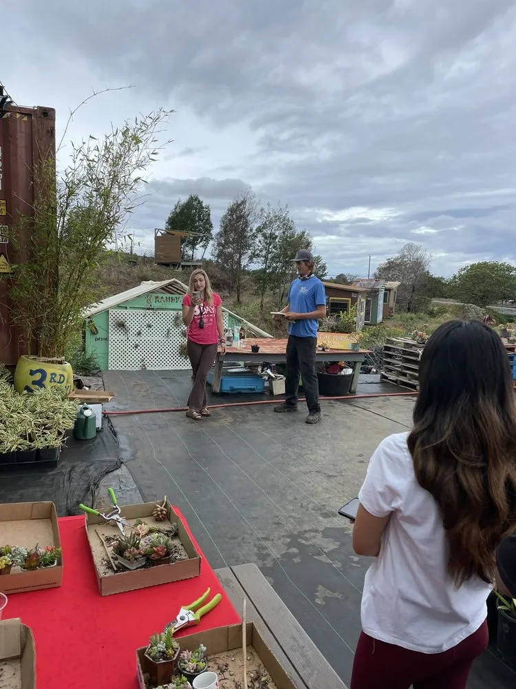 Professional landscaping services experts serving Kula, HI - 3rd Day Nursery