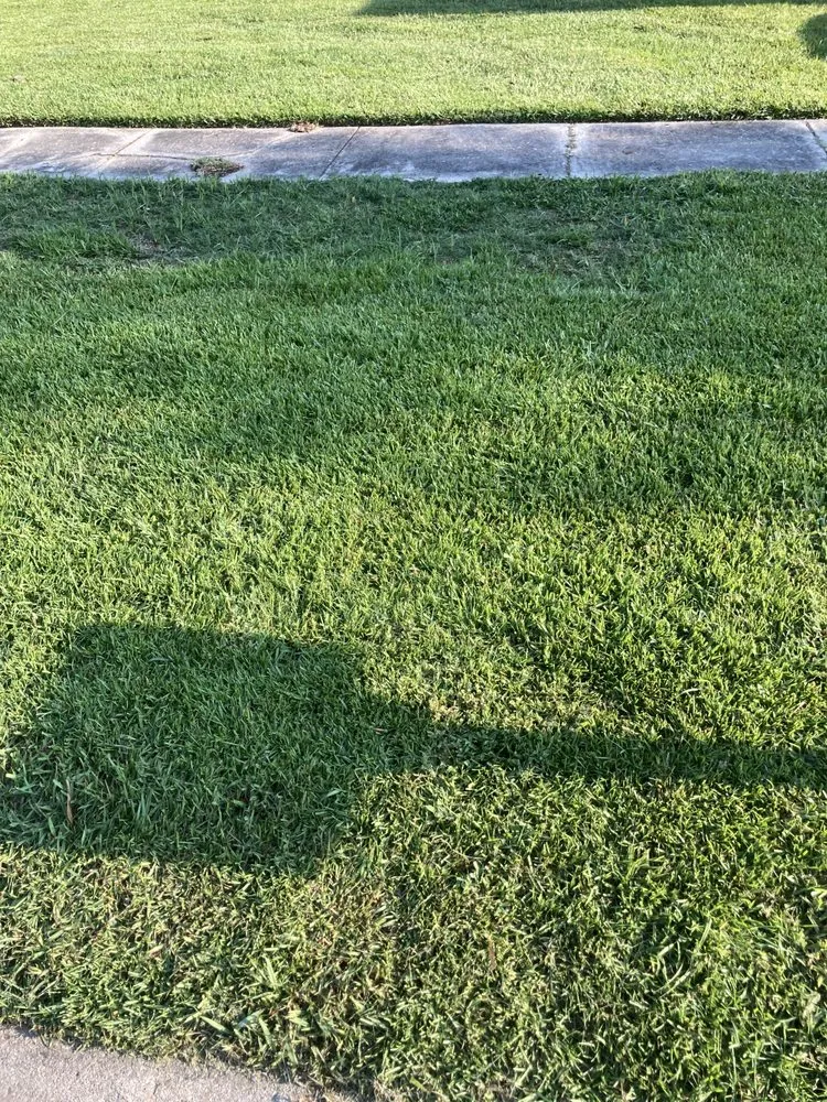 Affordable garden landscaping in Merrydale, LA by 3rd Degree Landscaping