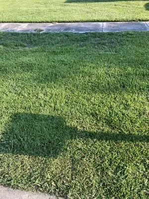 3rd Degree Landscaping