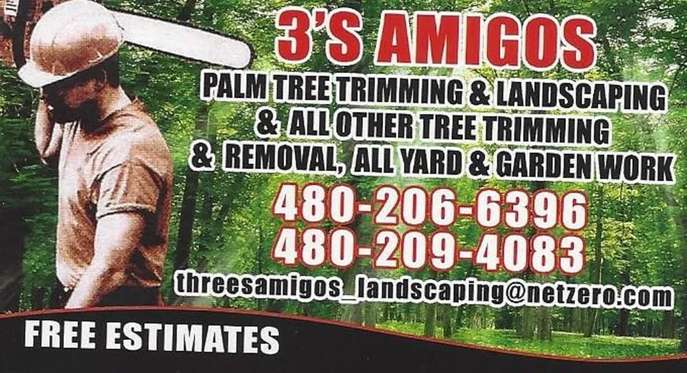 Affordable landscaping services in Mesa, AZ by 3S Amigos Landscaping