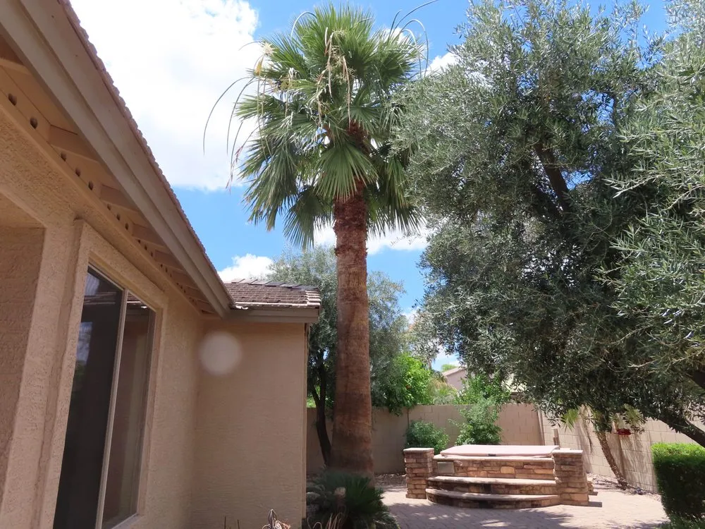 Expert landscaping services in Mesa, AZ - 3S Amigos Landscaping