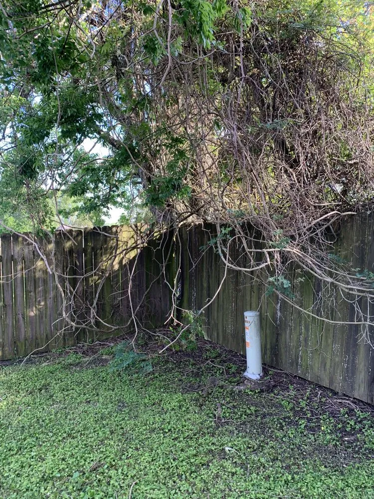 Top-rated yard maintenance experts serving New Orleans, LA - 3SixtyLawncare