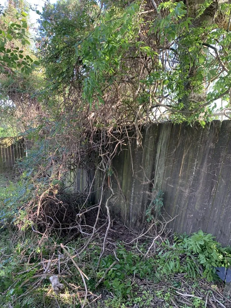 Top-rated landscape design in New Orleans, LA by 3SixtyLawncare