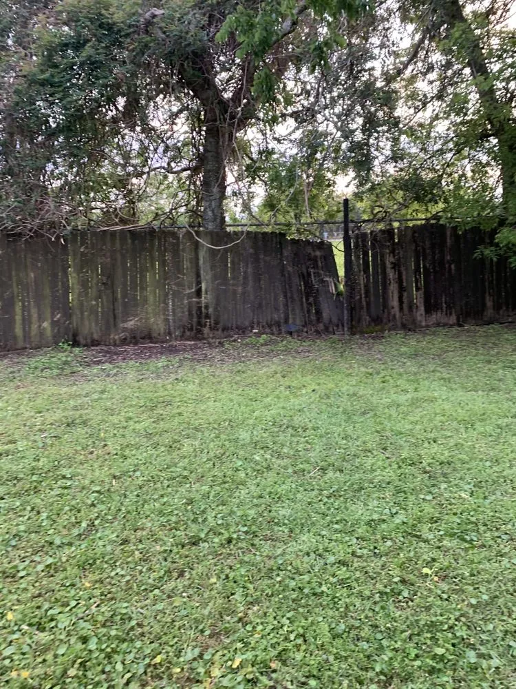 Expert residential landscaping in New Orleans, LA - 3SixtyLawncare