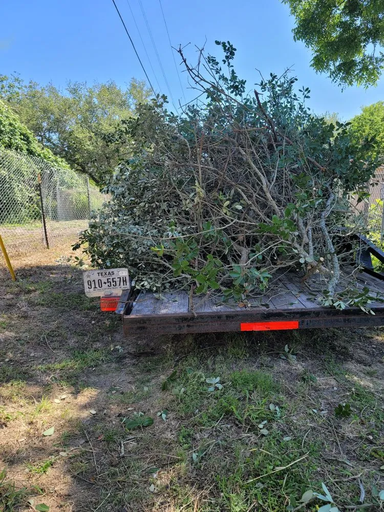 Top-rated lawn care service in Aransas Pass, TX - 3tm Lawn Care Company