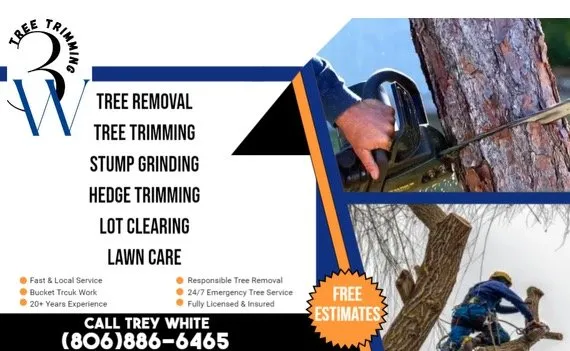Expert landscaping services experts serving Fritch, TX - 3W Tree Trimming
