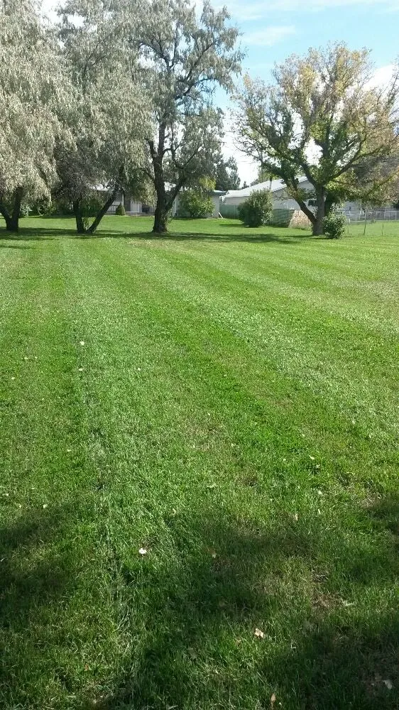 Reliable yard maintenance near you across Great Falls, MT - 4 1/2 Seasons