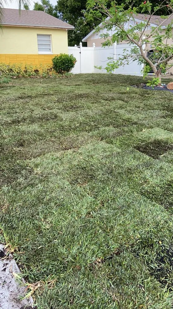 Local garden landscaping experts serving St. Petersburg, FL - 4 A Landscaping Solutions