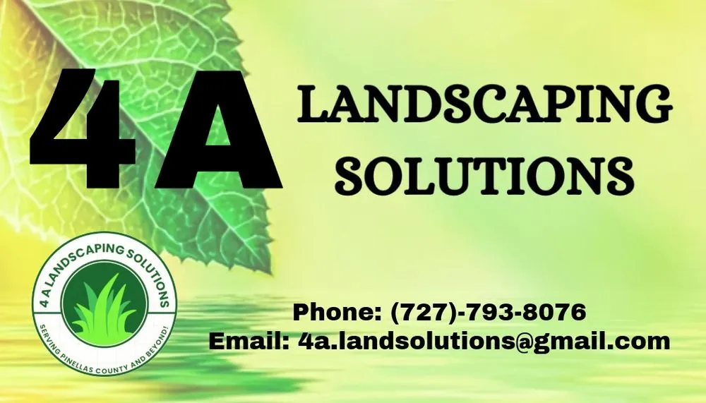 Expert yard cleanup service in St. Petersburg, FL by 4 A Landscaping Solutions