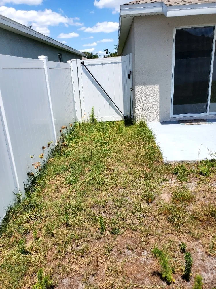 Local landscaping services experts serving Greater Northdale, FL - 4 Angels Lawn Care