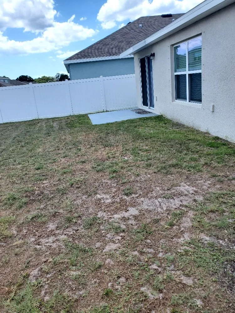 Trusted lawn mowing service in Greater Northdale, FL - 4 Angels Lawn Care