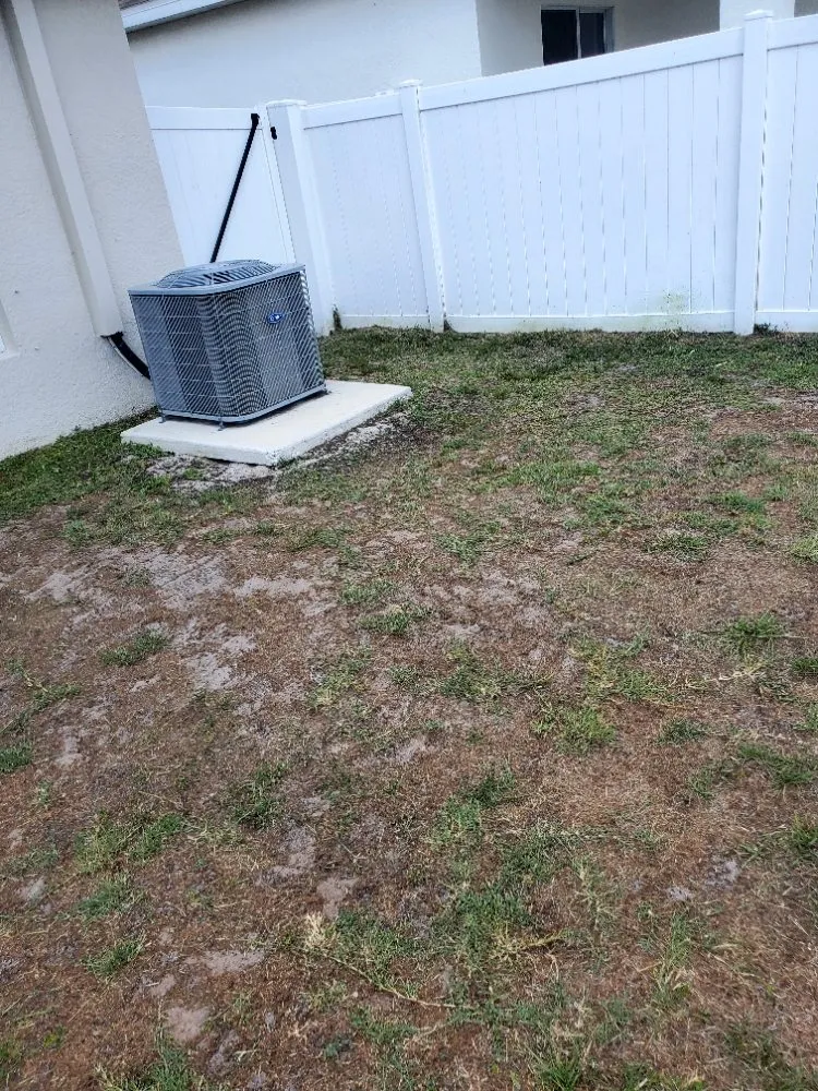 Affordable landscape design for outdoor upgrades across Greater Northdale, FL - 4 Angels Lawn Care