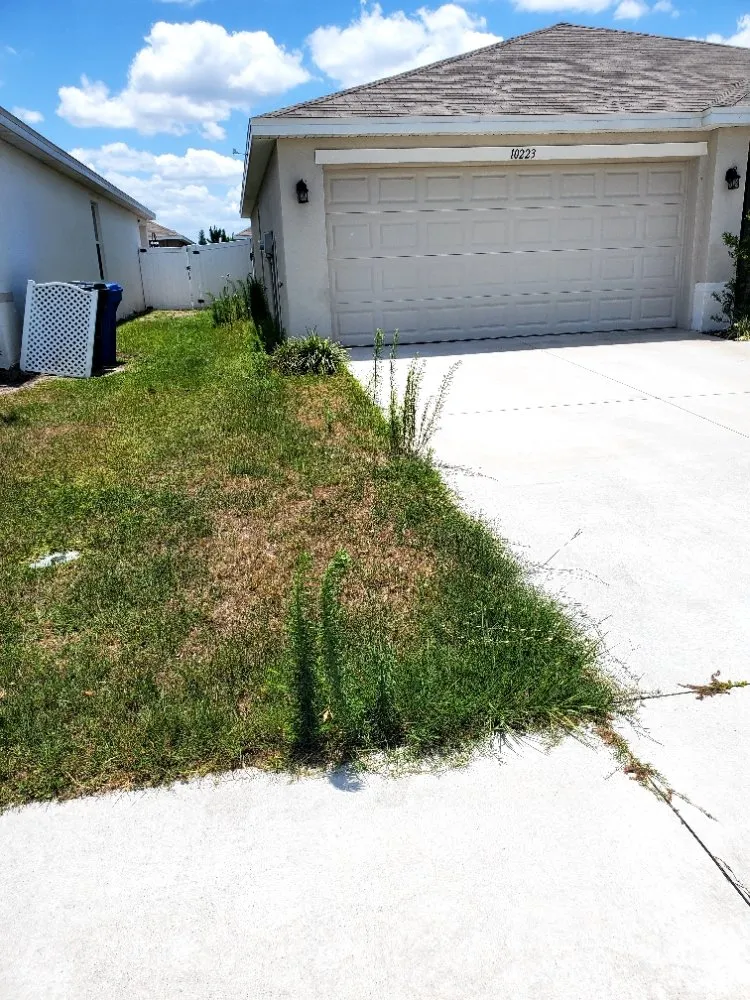 Top-rated lawn mowing service for outdoor upgrades across Greater Northdale, FL - 4 Angels Lawn Care