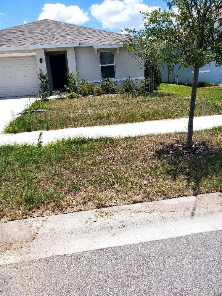 Custom landscape installation near you across Greater Northdale, FL - 4 Angels Lawn Care