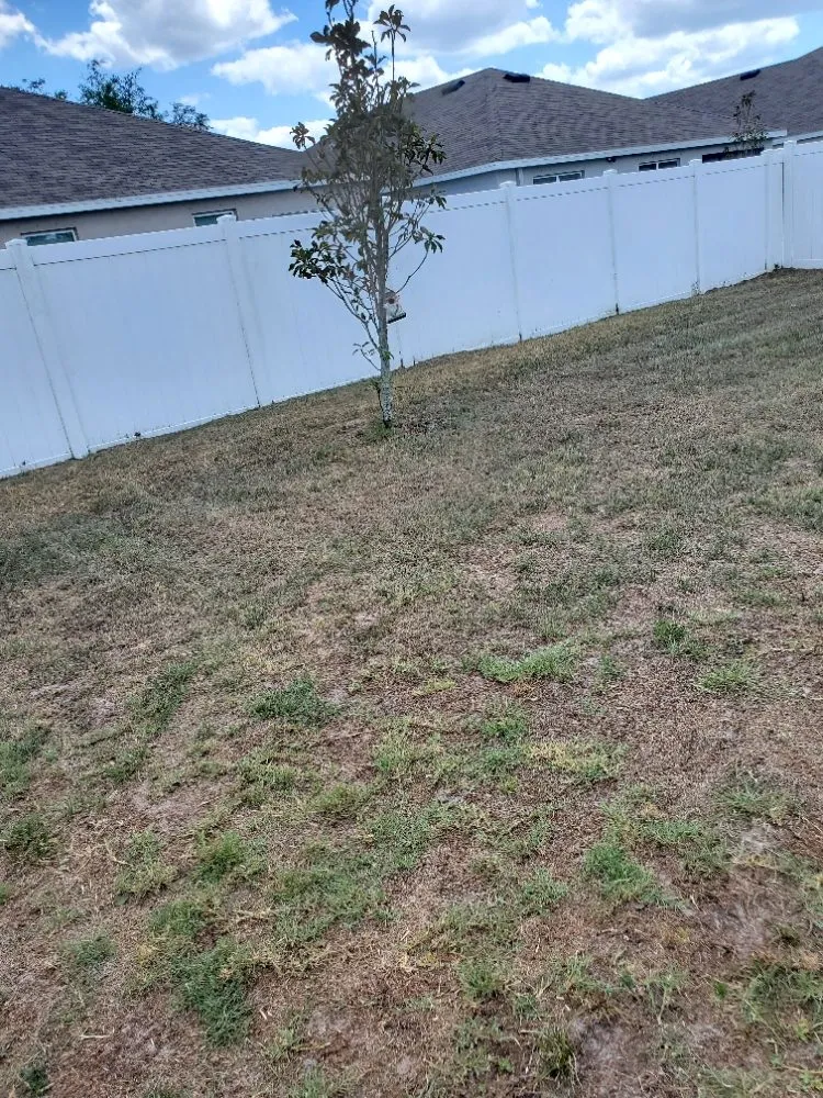 Trusted yard cleanup service in Greater Northdale, FL - 4 Angels Lawn Care