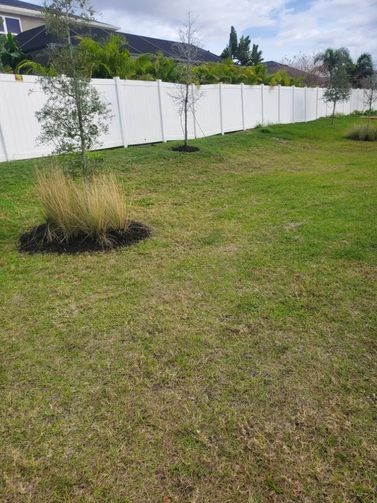 Professional landscape installation in Greater Northdale, FL - 4 Angels Lawn Care