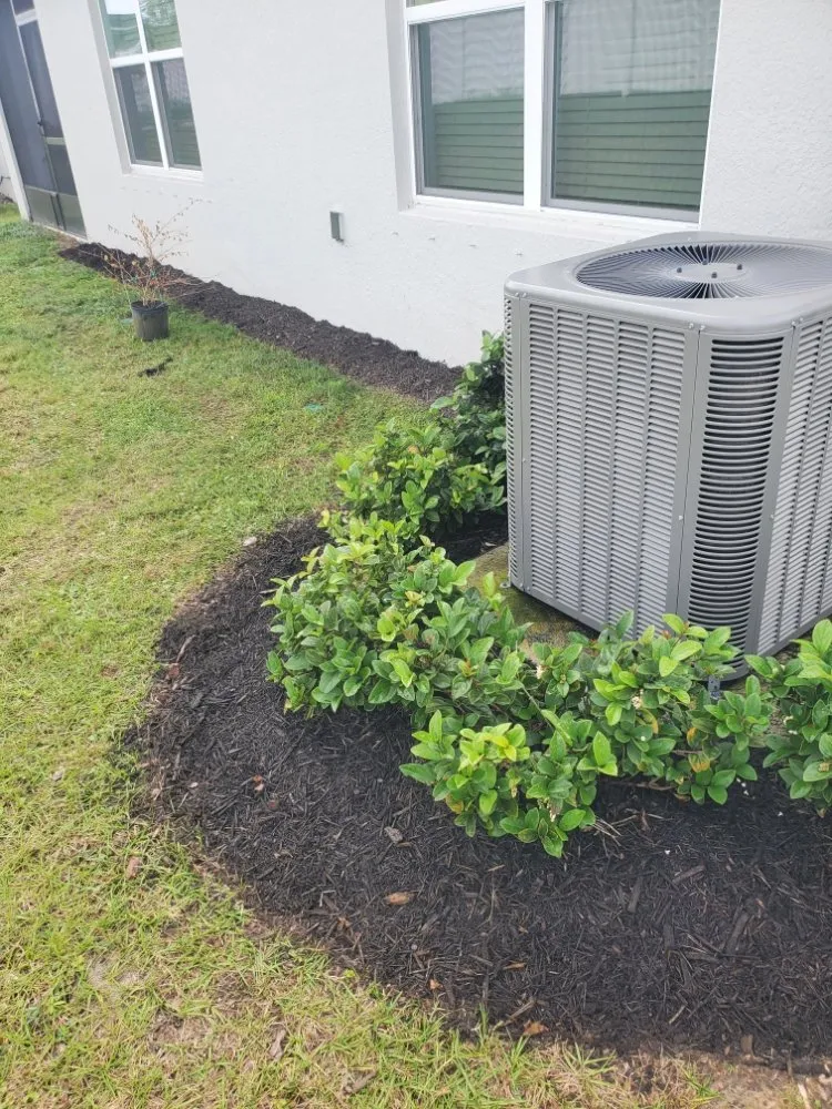 Top-rated landscaping services in Greater Northdale, FL - 4 Angels Lawn Care