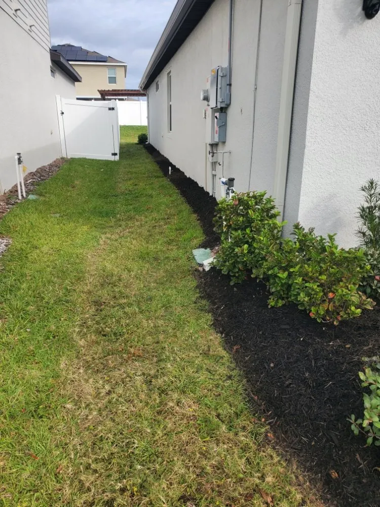 Custom landscaping services in Greater Northdale, FL - 4 Angels Lawn Care