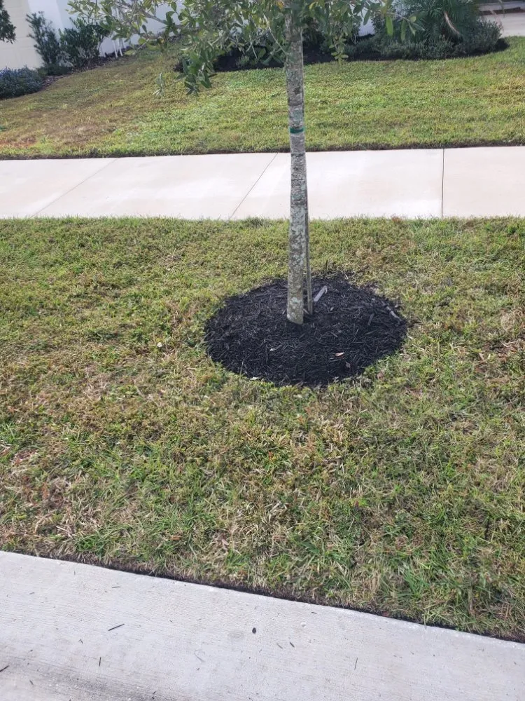 Expert landscape design in Greater Northdale, FL by 4 Angels Lawn Care
