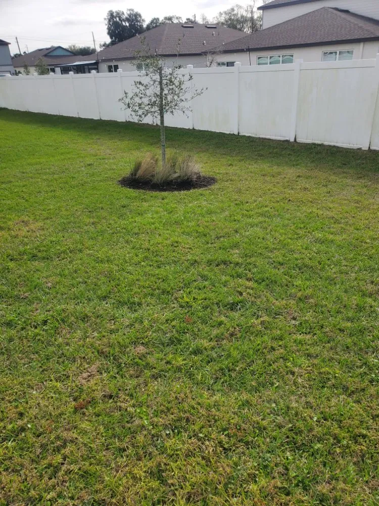 Expert landscape design for year-round maintenance across Greater Northdale, FL - 4 Angels Lawn Care