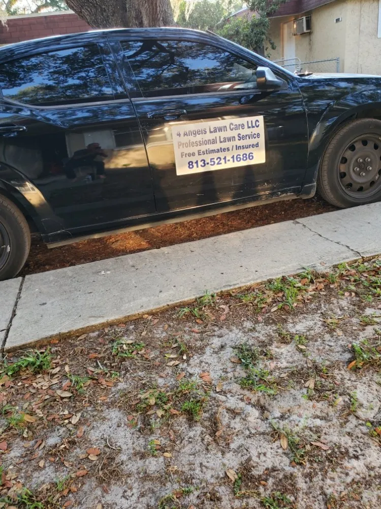 Local residential landscaping for beautiful yards across Greater Northdale, FL - 4 Angels Lawn Care