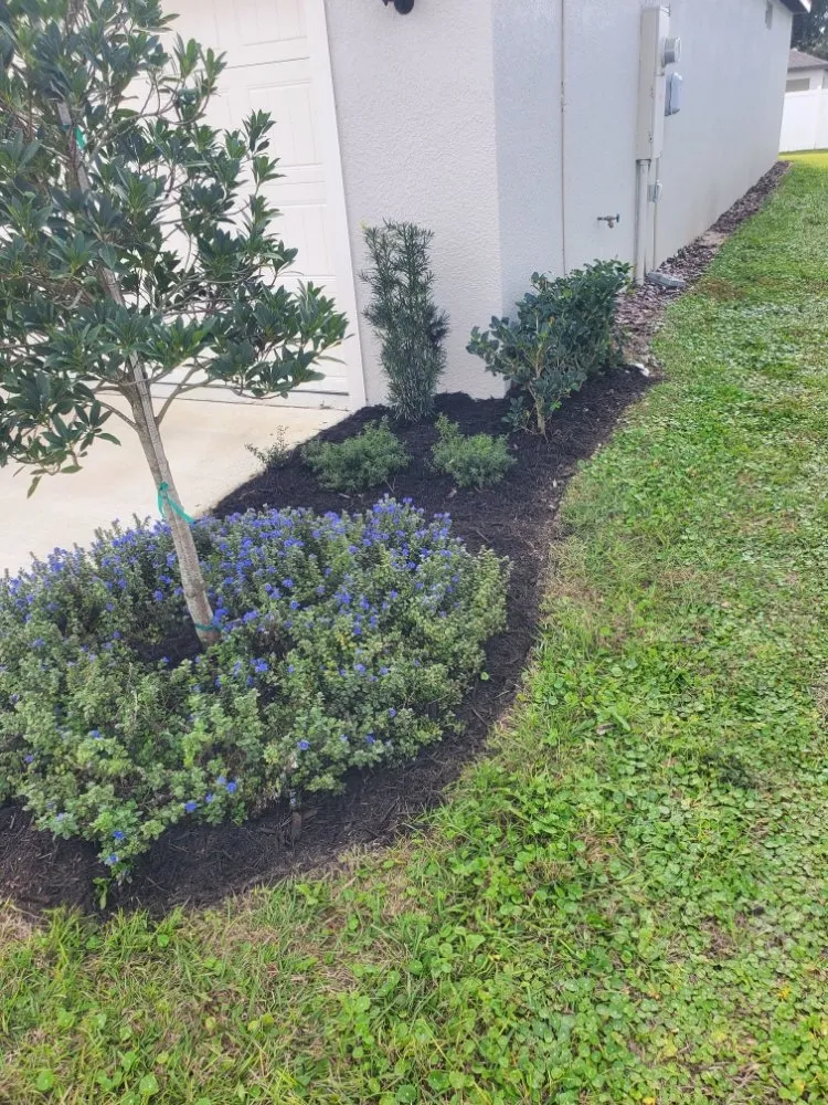 Affordable outdoor landscaping in Greater Northdale, FL - 4 Angels Lawn Care