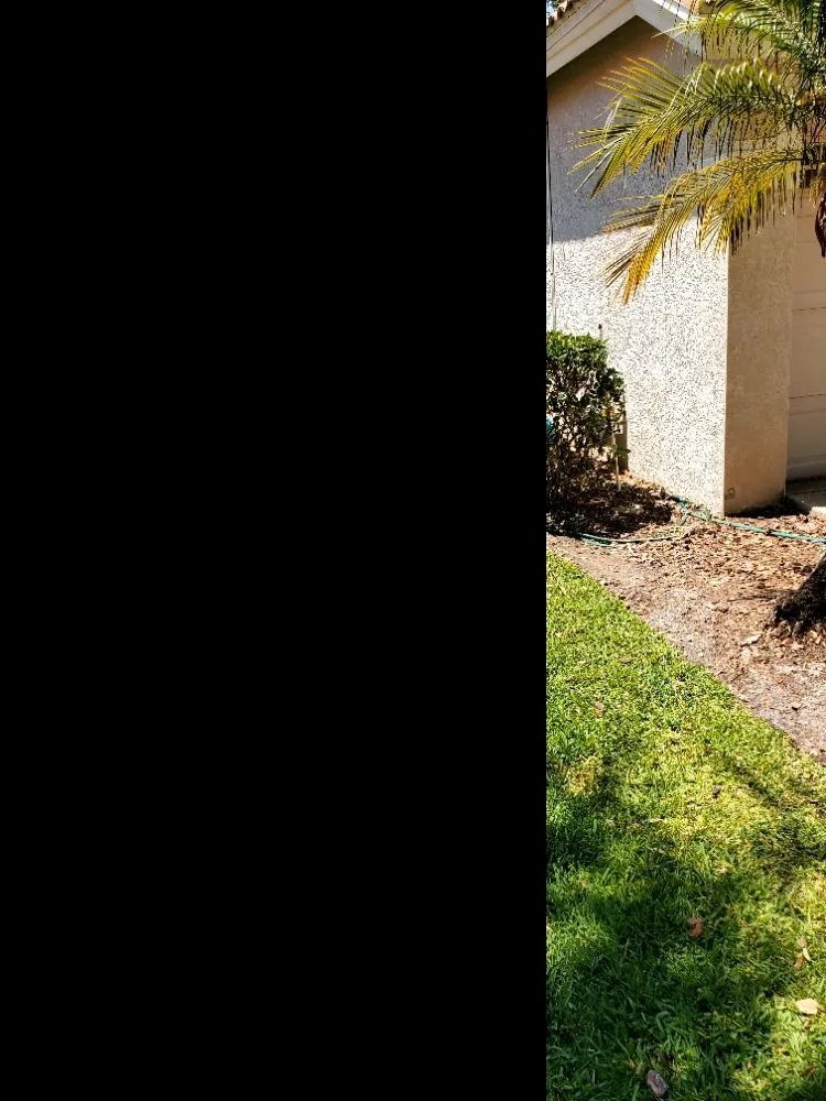 Local yard maintenance for outdoor upgrades in Greater Northdale, FL by 4 Angels Lawn Care
