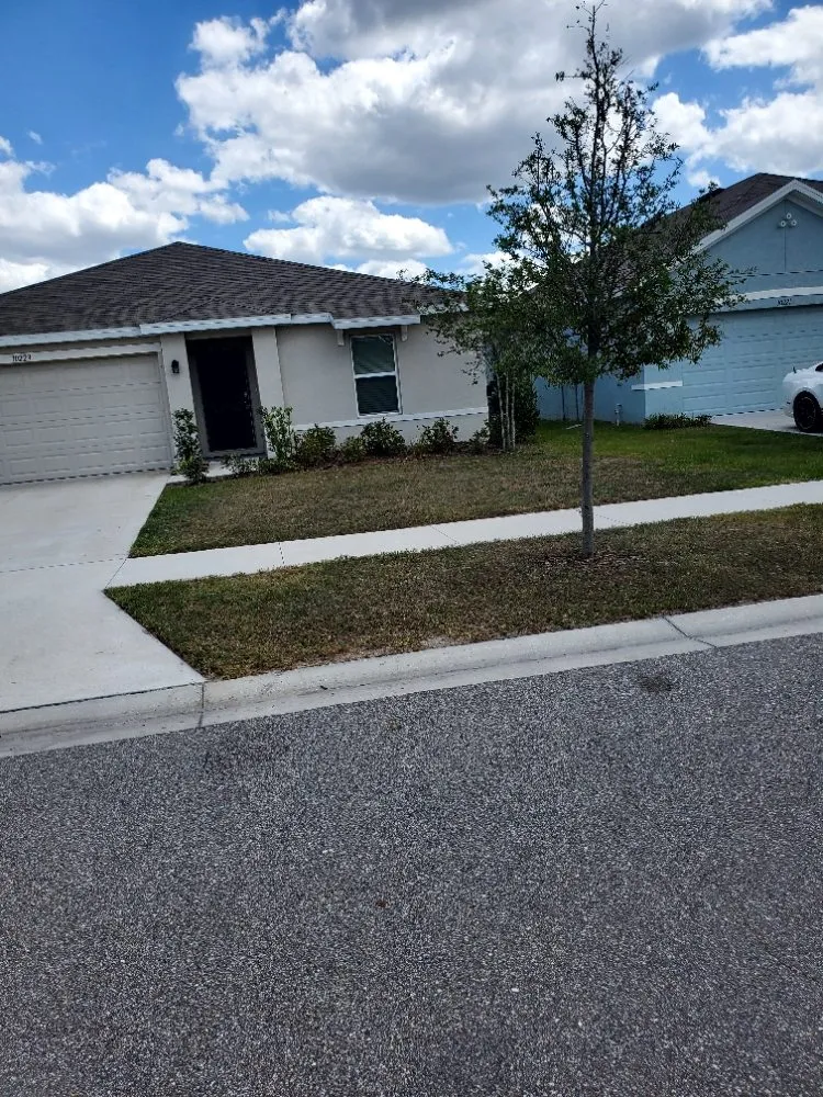 Reliable landscape installation for beautiful yards in Greater Northdale, FL by 4 Angels Lawn Care