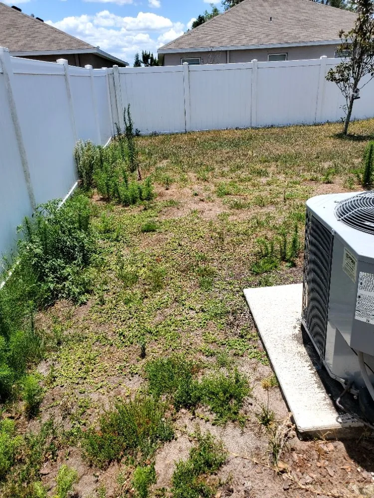 Custom landscape installation for beautiful yards across Greater Northdale, FL - 4 Angels Lawn Care