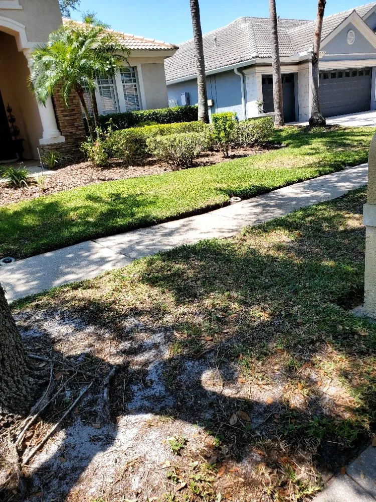 Top-rated landscaping services in Greater Northdale, FL - 4 Angels Lawn Care
