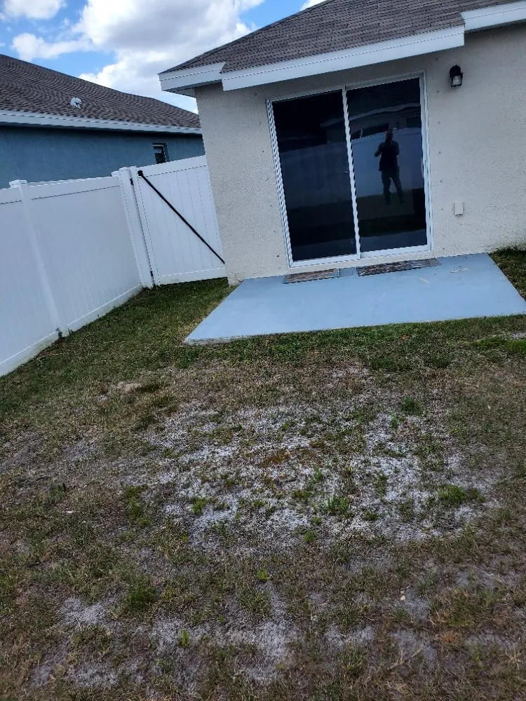 Top-rated lawn mowing service in Greater Northdale, FL - 4 Angels Lawn Care