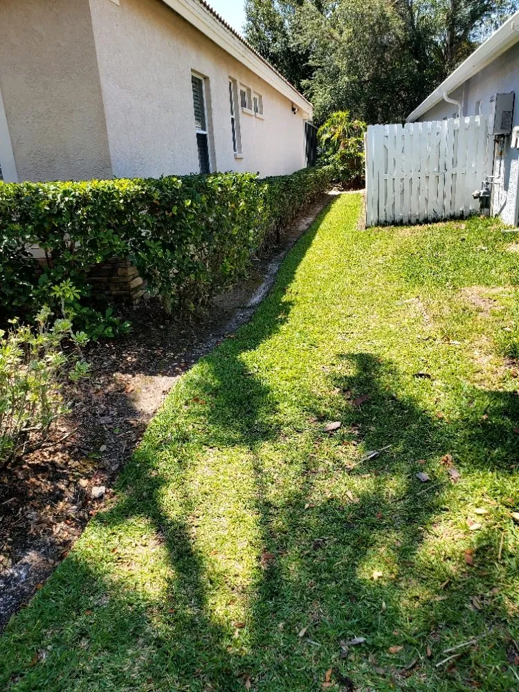 Top-rated outdoor landscaping for year-round maintenance across Greater Northdale, FL - 4 Angels Lawn Care