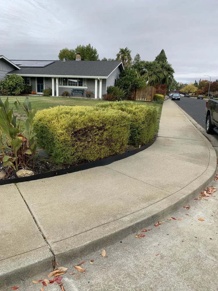 Expert landscape design for residential properties in Richmond, CA by 4 Bridges Landscape
