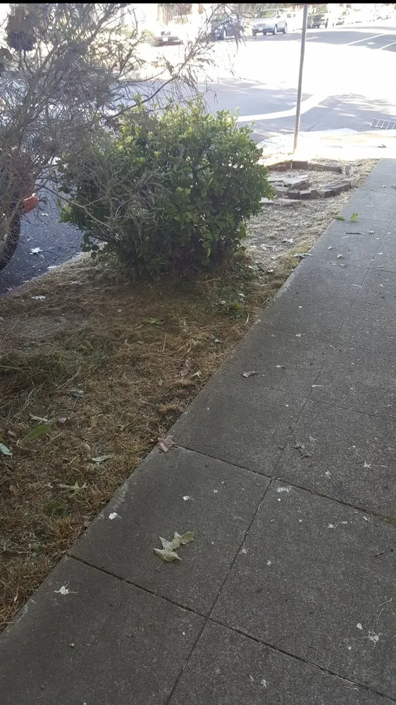 Professional outdoor landscaping for homes across Richmond, CA - 4 Bridges Landscape