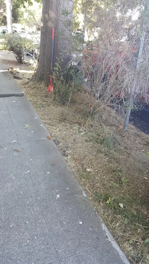 Local lawn care service in Richmond, CA by 4 Bridges Landscape