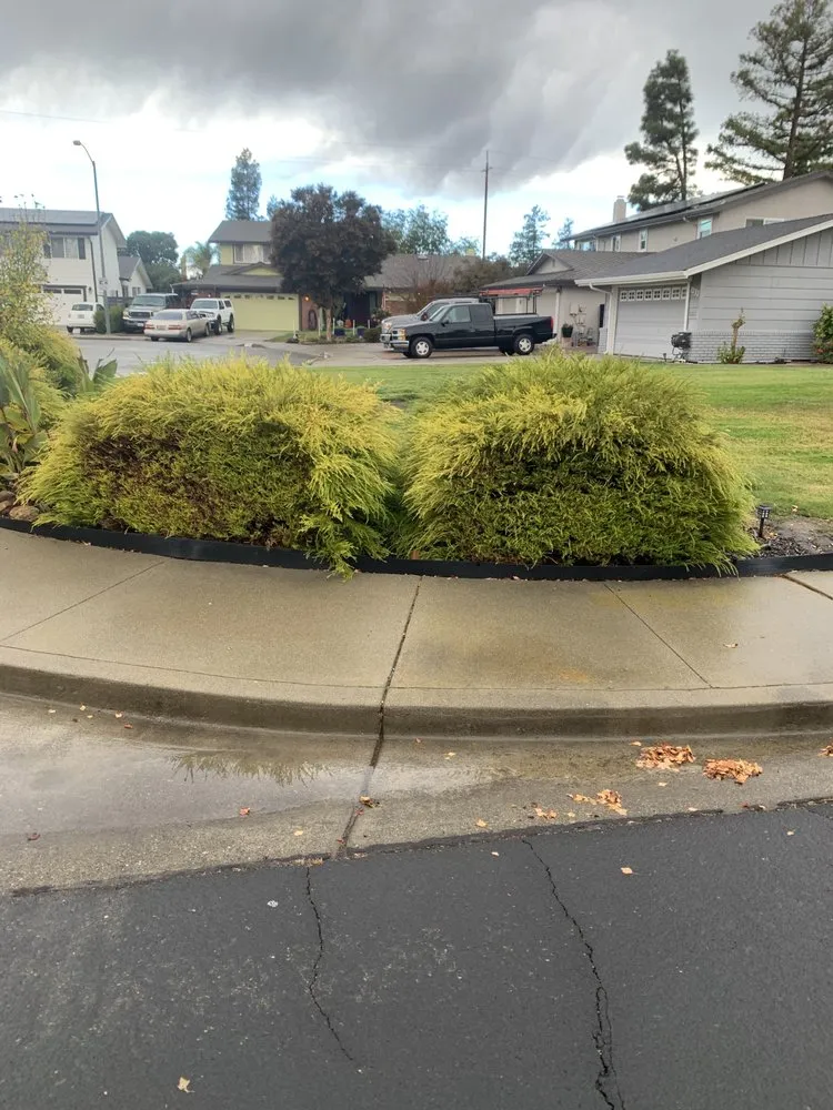 Professional garden landscaping in Richmond, CA - 4 Bridges Landscape
