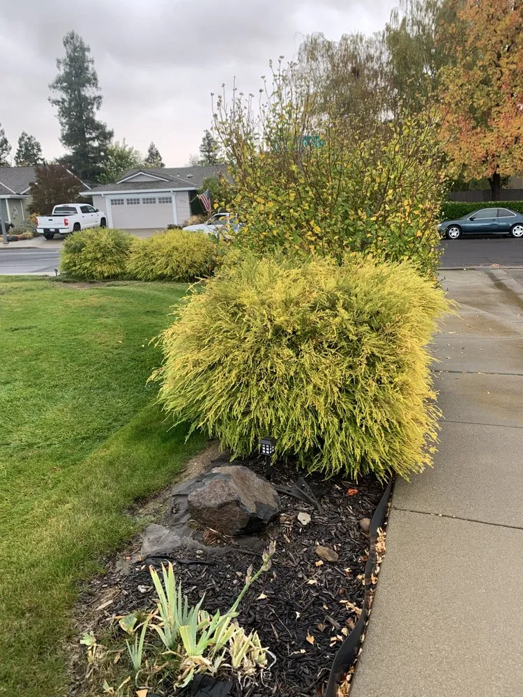 Expert landscape design for year-round maintenance across Richmond, CA - 4 Bridges Landscape