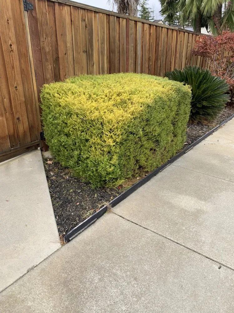 Top-rated lawn mowing service with custom design in Richmond, CA by 4 Bridges Landscape