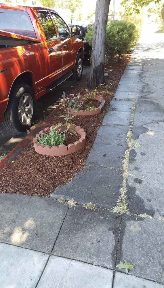 Expert yard maintenance in Richmond, CA by 4 Bridges Landscape
