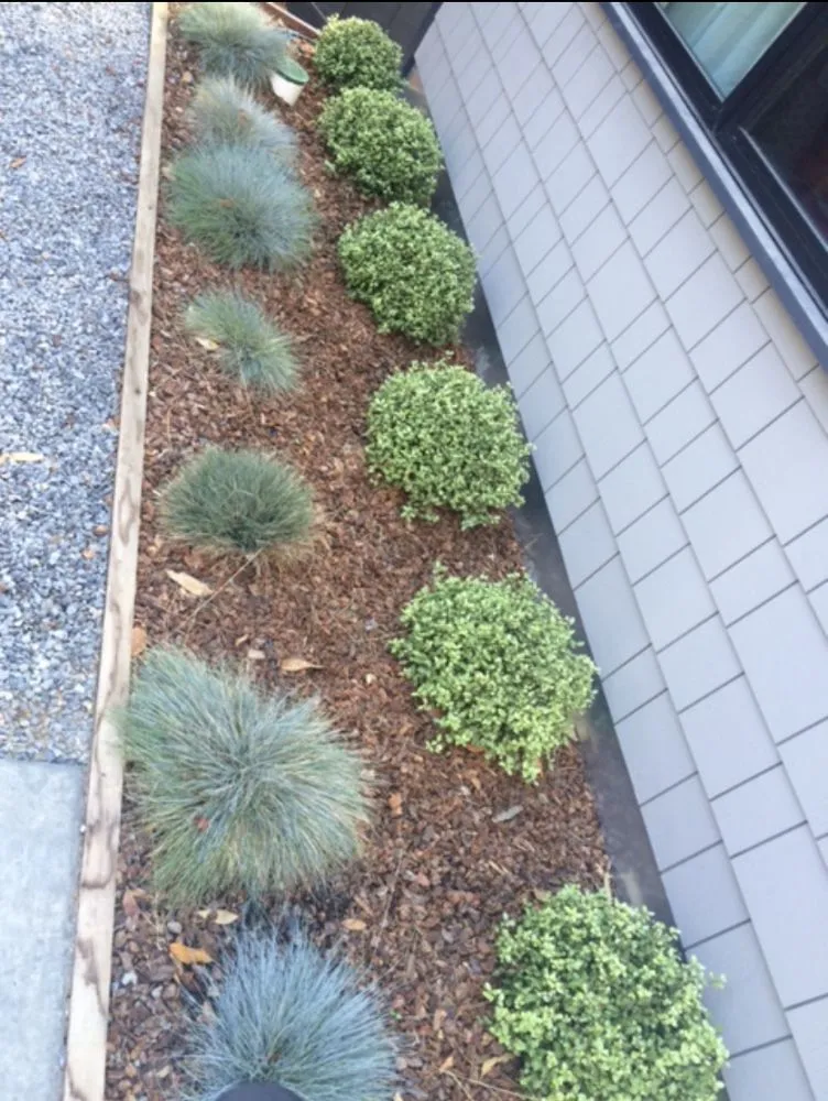 Top-rated lawn care service for beautiful yards across Richmond, CA - 4 Bridges Landscape