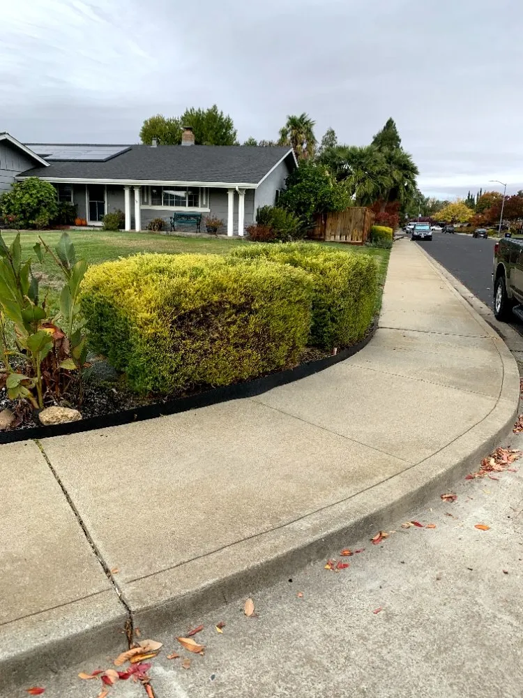 Reliable landscape design near you across El Cerrito, CA - 4 Bridges Landscaping