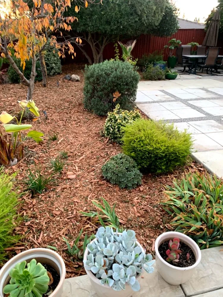 Reliable lawn care service experts serving El Cerrito, CA - 4 Bridges Landscaping