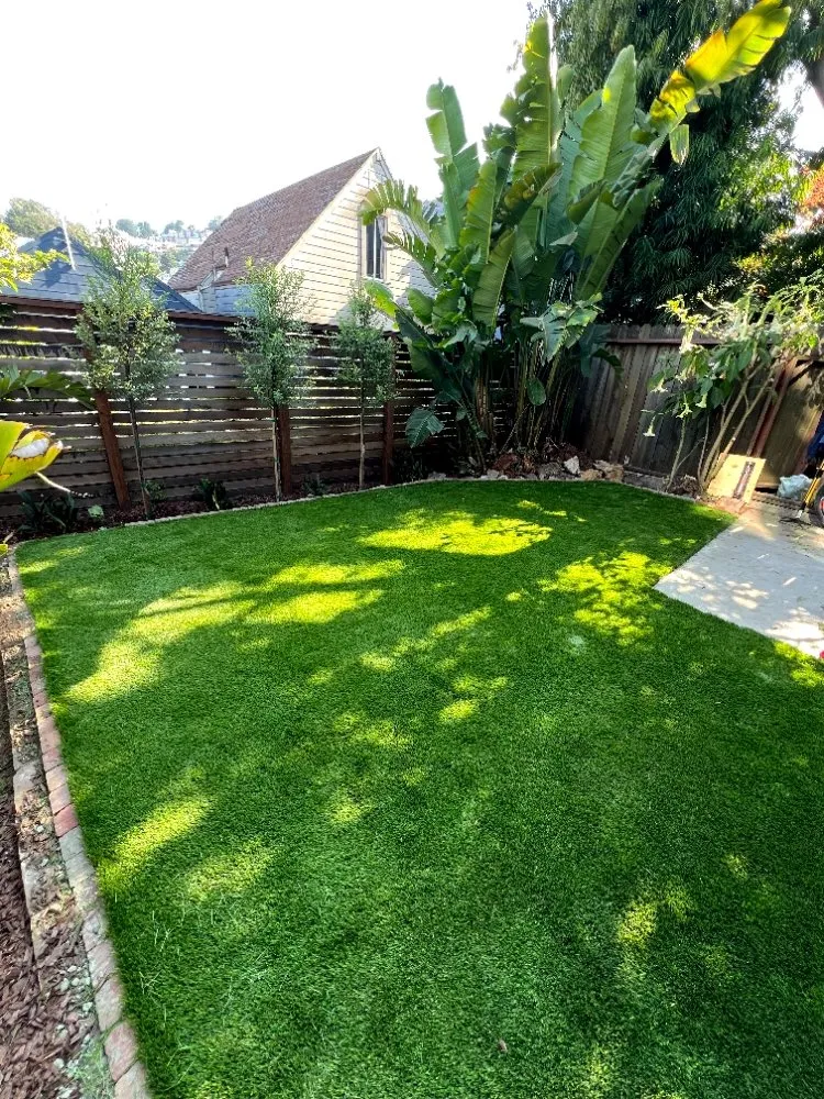 Local lawn care service in El Cerrito, CA by 4 Bridges Landscaping