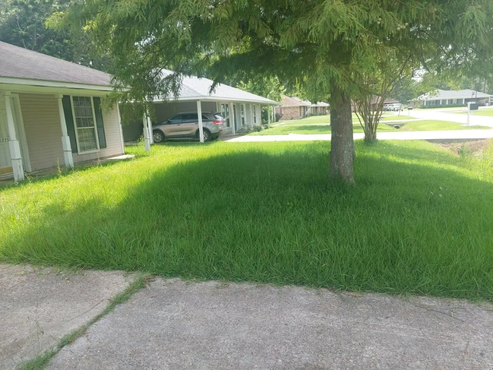 Top-rated yard maintenance experts serving Baton Rouge, LA - 4 Bros In A Truck Lawn Service