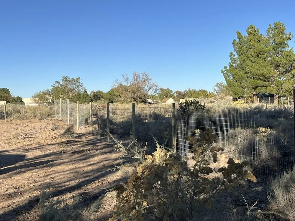 Trusted landscaping services in Tijeras, NM by 4 Bros with Hoes