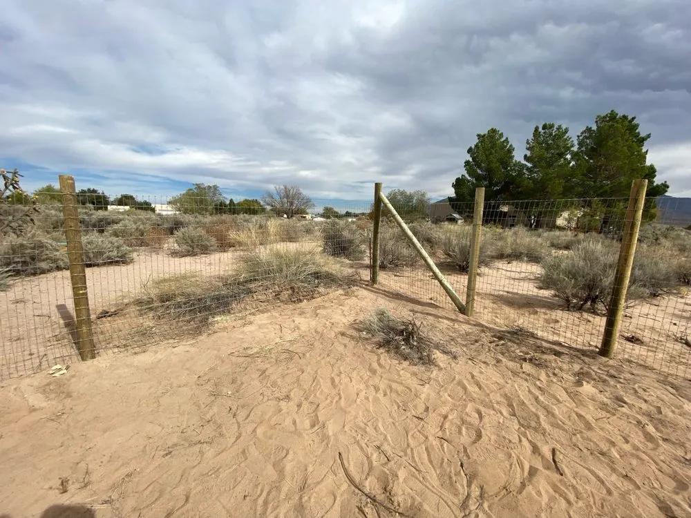 Local landscape design for residential properties in Tijeras, NM by 4 Bros with Hoes