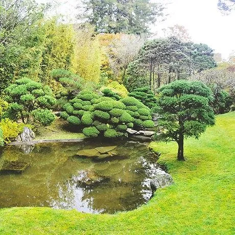 Custom landscape design in Murfreesboro, TN by 4 Brothers Landscape