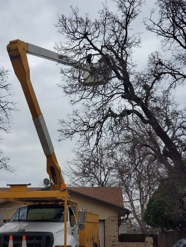 Trusted landscape installation in Springtown, TX by 4 B's Tree And Lawn Service